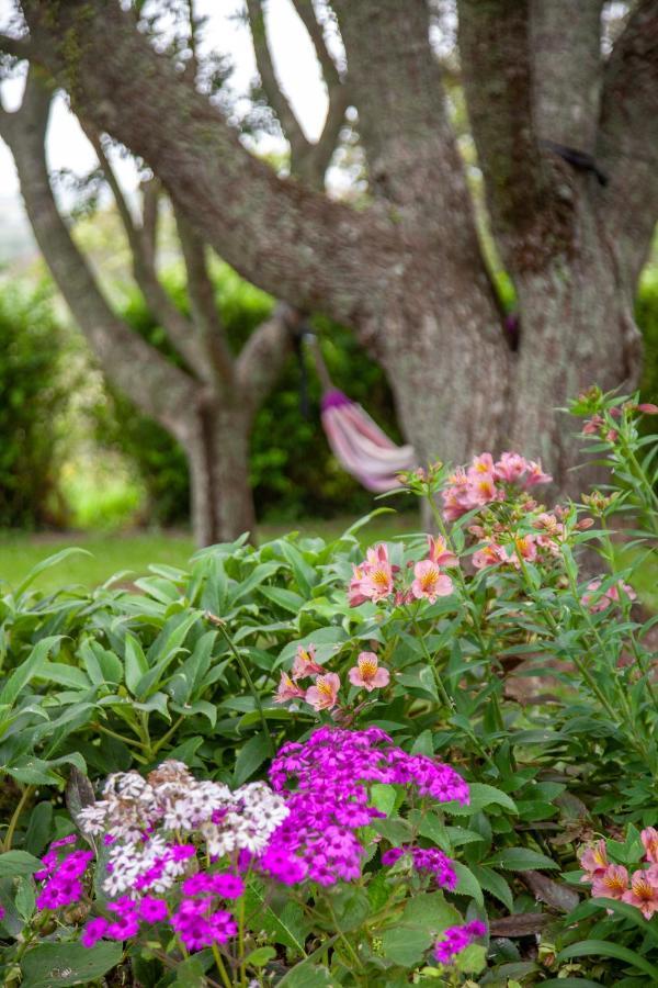 Kereru Cottage Mauku Exterior photo